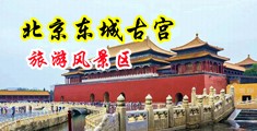 别操女生了,啊,高潮了视频中国北京-东城古宫旅游风景区